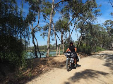 Adam cycling along next to the Murray.