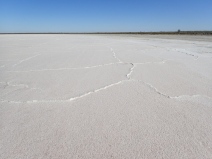 Salt crust on Lake Tutchewope.