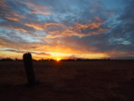 Sunset over Mallee Country.