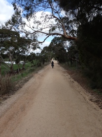 Downhill and dirt roads, our favourite.
