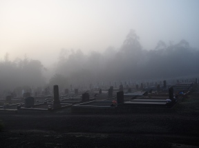 An eerie morning in the cemetery.